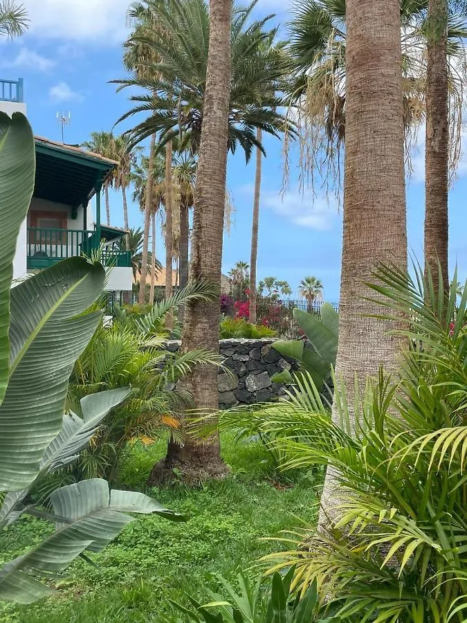 Hotel Estefania Boutique Suites Chayofa